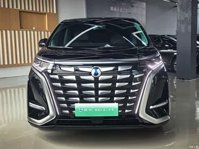 2024 Denza D9 DM-i 980 AWD Prestige, фото 2, лот 10346340