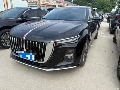 2025 Hongqi H5 1.5T DCT Qiyue 500,000 Units Commemorative Edition, фото 1, лот 10361113