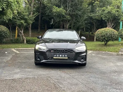 2023 Audi S5 3.0T Sportback, фото 2, лот 10233120