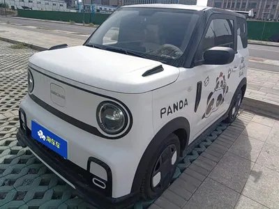 2025 Geely Galaxy Panda Model Year 210km Panda Kart, фото 1, лот 11104586