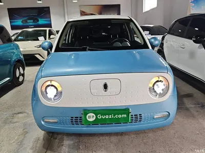 2021 Ora Black Cat 351km Standard Model, фото 3, лот 11188102