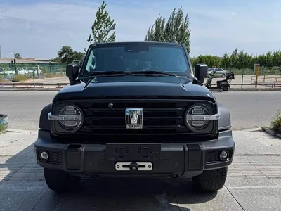 2021 Tank 300 Off-road Version 2.0T Conqueror, фото 2, лот 10826721