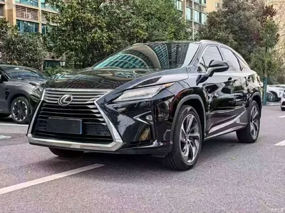 2016 Lexus RX 300 4WD Elegance Edition (China V), фото 1, лот 10318156