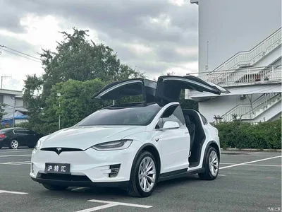 2019 Tesla Model X Long Range Version, фото 1, лот 10397046