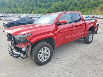 2025 TOYOTA TACOMA SR5, фото 1, лот 10536170