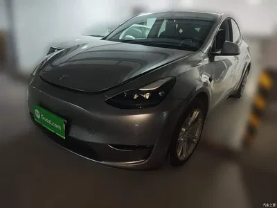 2021 Tesla Model Y Model Long Range AWD, фото 1, лот 10388927