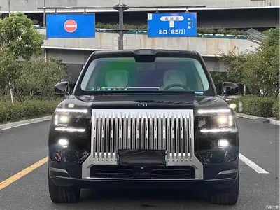 2025 ZEEKR 9X Standard Edition, фото 3, лот 11211833