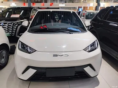 2023 BYD Seagull Freedom Edition, фото 3, лот 10262976