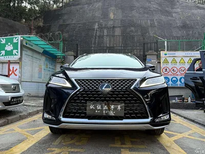 2021 Lexus RX 300 AWD Special Edition, фото 2, лот 10317053