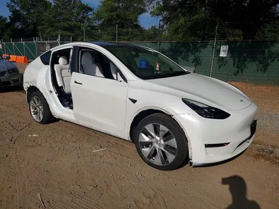 2023 TESLA MODEL Y, фото 4, лот 10855751
