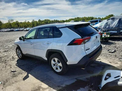 2019 TOYOTA RAV4 XLE, фото 2, лот 11207956