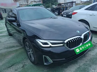 2022 BMW 5 Series 530Li Leading Luxury Package, фото 4, лот 11174663