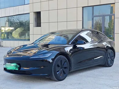 2025 Tesla Model 3 Model Rear-Wheel Drive Edition, фото 1, лот 11580731