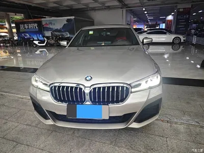 2021 BMW 5 Series 530Li Premium M Sport Package, фото 2, лот 10696788