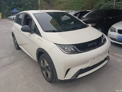 2023 BYD Dolphin 420km Freedom Edition, фото 4, лот 10263948