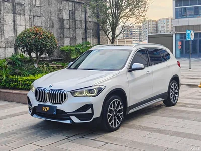 2022 BMW X1 xDrive25Li Premium, фото 1, лот 10662134