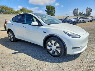 2023 TESLA MODEL Y, фото 4, лот 11282157
