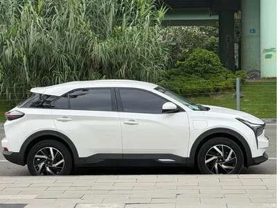 2021 Nezha Auto Neta U Pro 400 Cruise Edition, фото 4, лот 10447672
