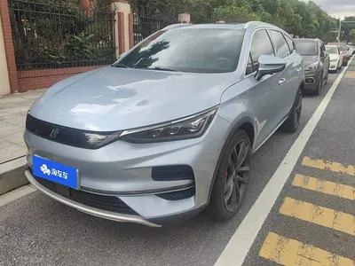 2024 BYD Tang New Energy EV Champion Edition 730KM Premium, фото 1, лот 10273663