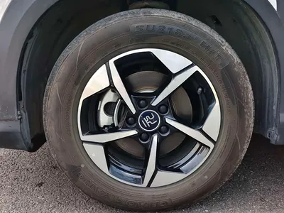 2025 BYD Yuan UP Smart Drive Edition 401KM Surpassing Type, фото 3, лот 10274239