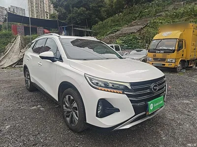 2021 GAC Trumpchi Trumpchi GS4 270T Auto Smart Connect Tech, фото 4, лот 10422883