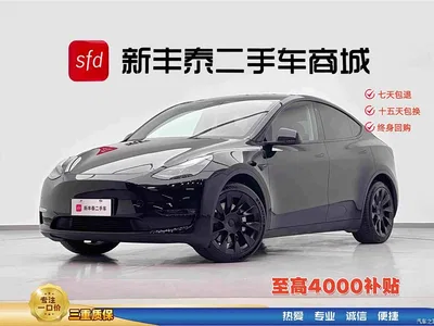2021 Tesla Model Y Standard Range Rear-Wheel Drive, фото 1, лот 10403284
