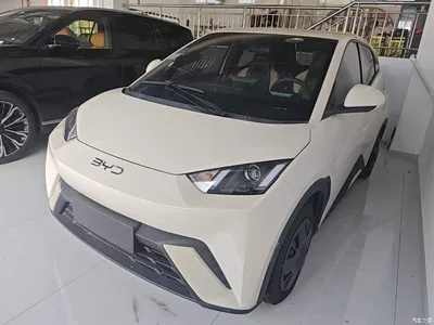 2024 BYD Seagull Glory Edition 305km Vitality Edition, фото 1, лот 10389398