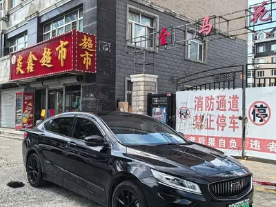 2021 Geely Borui PHEV 1.5T ePro Leading Edition, фото 3, лот 11148350