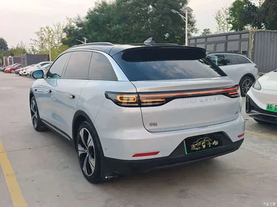2021 Leapmotor C11 Model Premium Edition, фото 4, лот 10316965