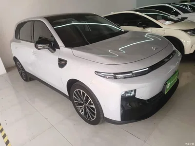 2025 Leapmotor B10 510 Joy Edition, фото 4, лот 10443085