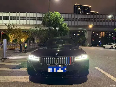 2021 BMW 5 Series 525Li M Sport Package, фото 1, лот 10459972