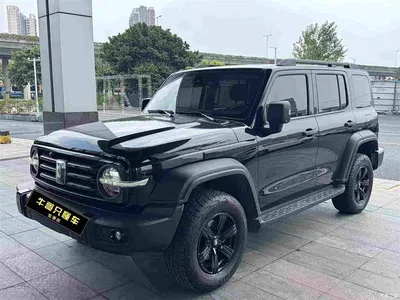 2023 Tank 300 Off-Road Edition 2.0T Conqueror, фото 1, лот 10390895