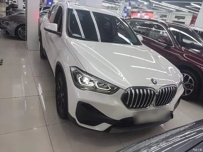 2021 BMW X1 sDrive20Li Fashion, фото 3, лот 10467712