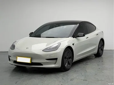 2022 Tesla Model 3 Model Rear-Wheel Drive Version, фото 1, лот 10401536