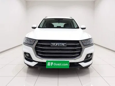 2021 Haval H6 National Trend Edition 1.5T Automatic Urban Edition, фото 2, лот 11536224