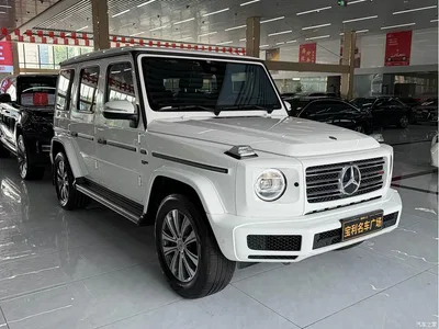 2023 Mercedes-Benz G-Class, фото 1, лот 10296879
