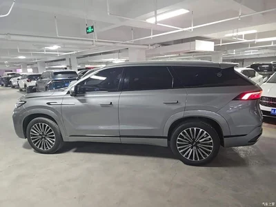 2025 Chery Tiggo 9 2.0T DCT 2WD Luxury Edition 5-Seater, фото 4, лот 10511185