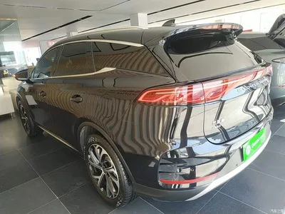 2025 BYD Tang New Energy DM-i 115KM Prestige Type, фото 4, лот 10272454