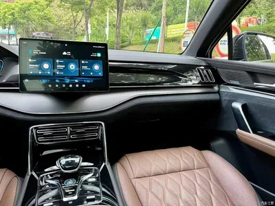 2021 BYD Tang New Energy DM-i 112KM Premium, фото 3, лот 11568252