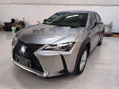 2020 Lexus UX 260h Explore Cool Edition, фото 2, лот 10446734