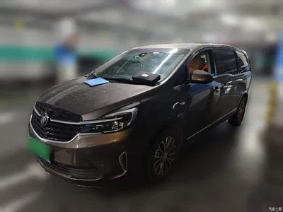 2021 Buick GL8 Land Business Class 652T Luxury, фото 1, лот 10262211