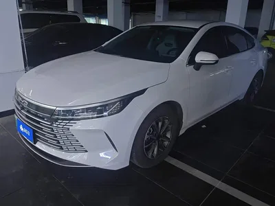 2024 BYD Destroyer 05 DM-i 55KM Pilot Glory Edition, фото 1, лот 10304622