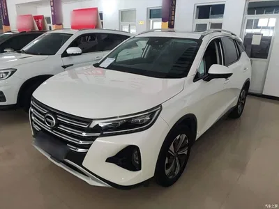 2021 GAC Trumpchi Trumpchi GS4 270T Auto Exclusive, фото 1, лот 10422222