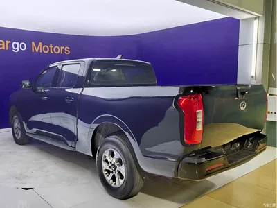 2021 Great Wall Pao 2.0T Commercial Edition Automatic Diesel 4WD Elite Long Box GW4D20M, фото 4, лот 11493582