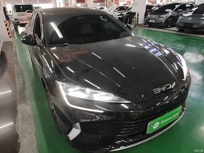 2023 BYD Seal DM-i 1.5T 121km Flagship, фото 4, лот 10269754