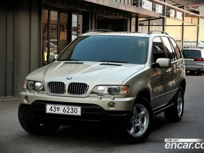 2003 BMW X5 3.0i, фото 1, лот 10130649
