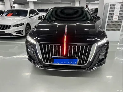 2025 Hongqi H5 1.5T DCT Flag Rhythm 500,000 Units Memorial Edition, фото 4, лот 10304111