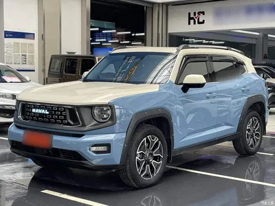 2023 Haval Second-Generation Big Dog New Energy DHT-PHEV 105km Trendy Electric Edition Plus, фото 2, лот 11170795