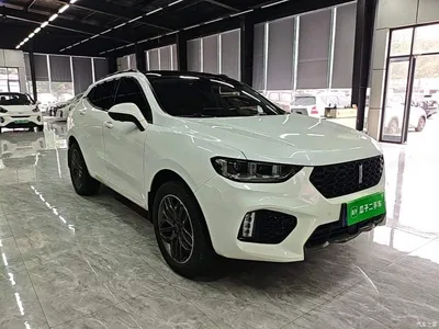 2017 WEY VV5 2.0T Super Luxury Model, фото 4, лот 10888350
