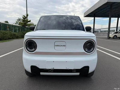 2024 Geely Galaxy Panda mini 200km Endurance Bear, фото 2, лот 10685163